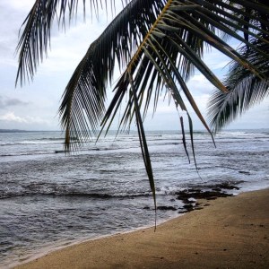 playa - puerto viejo